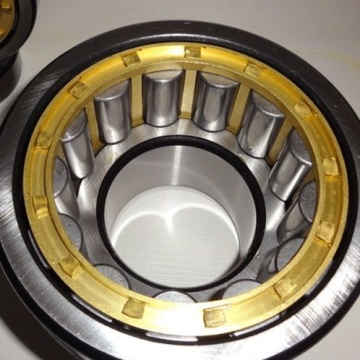 Double Row Cylindrical Roller Bearing (3182148/NN3048K)