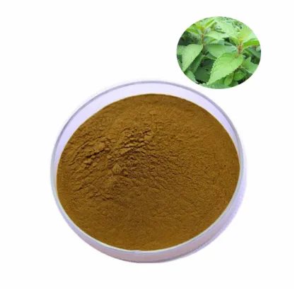 Herb Supplements Boneset Extract