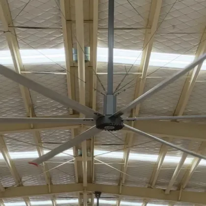 Large 6.1m 380V Industrial Ventilation Fan for Factory Use