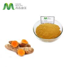 Turmeric Curcumin 95% Extract Powder Competitive Price