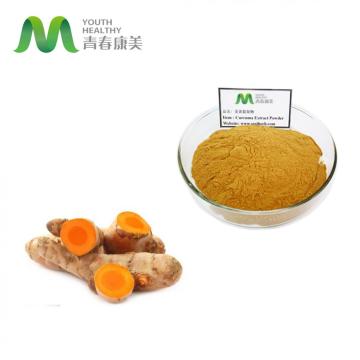 Kurkuma Curcumin 95% Extraktpulverwettbewerbspreis