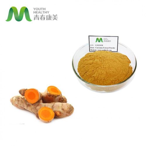 Kurkuma Curcumin 95% Extraktpulverwettbewerbspreis