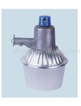 Mercury light