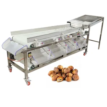 Automatic Fruit and Vegetable Grading Machine: Jujube Date Palm Sorting Machine