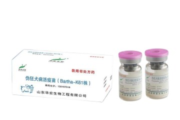 Pseudorabies Live Vaccine (Strain Bartha-K61)