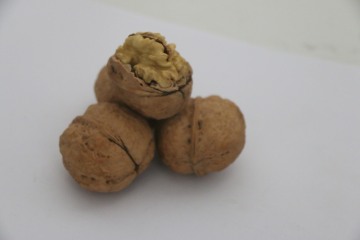 Organic Washed Whole Walnuts for Snacking