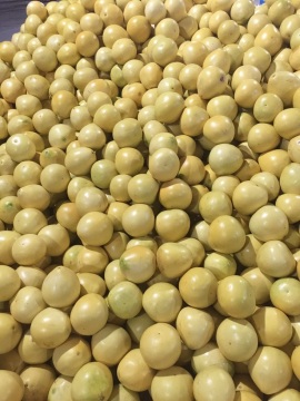 Export Standard Quality of Fresh Pomelo
