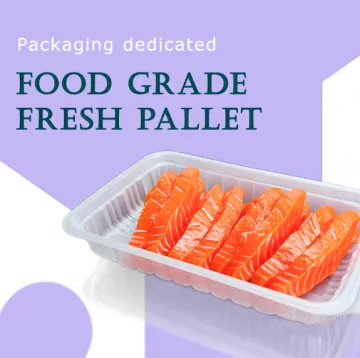 PP Food Bowls Blister Packaging Lunch Box