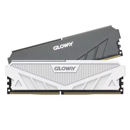 Gloway DDR5 32GB 6400MHz DIMM CL32 XMP Desktop RAM