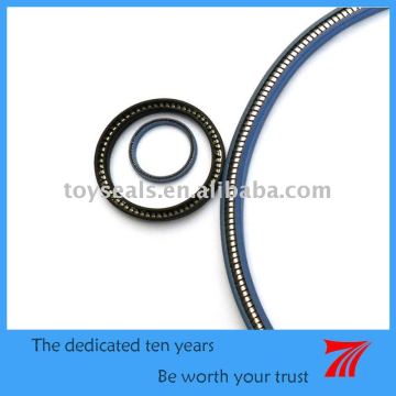 Spring PTFE Energized Seal