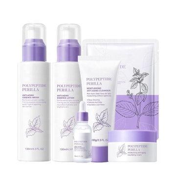 OEM Vegan Private Label Moisturizing Anti-Aging Skin Care Set