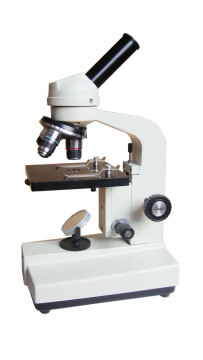 Zoom Stereo Microscope 40X-600X
