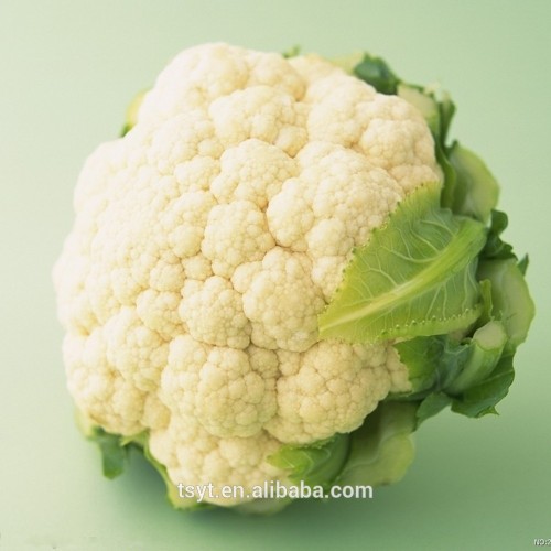 China Fresh Cauliflowers Fresh Cauliflower With Best Price For Sale