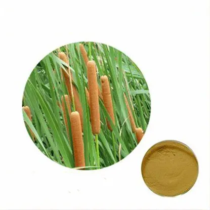Pu Huang Chinese Cattail Pollen Extract