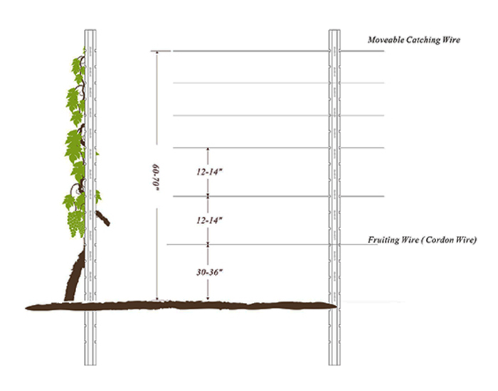 Snap-in Vertical Trellis System