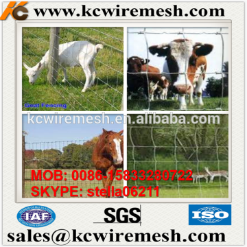 Factory!!!!!KangChen agriculture domestic animals fence welded galvanized wire structure