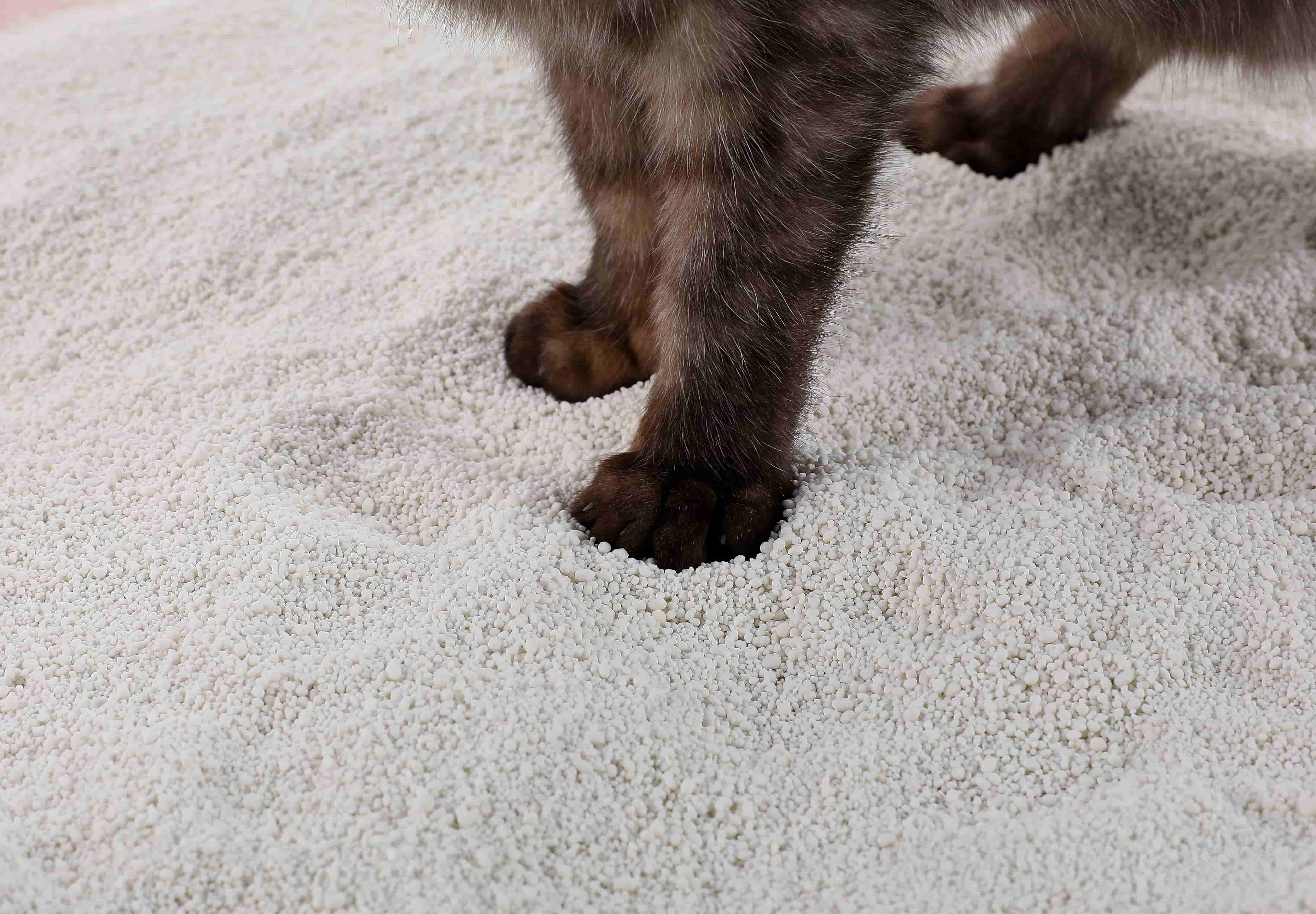 Eco-Friendly Cassava Cat Litter for Healthy Pets