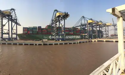 Gold Lion CNC Spring Making Machine - Compression Spring Coiling Machine Manufacturer