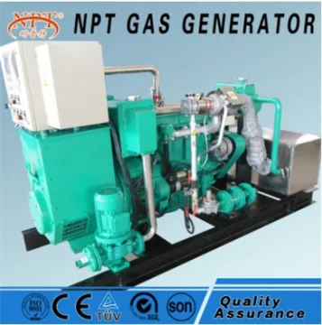 China CE silent 40kw 50kva natural gas generator turkey
