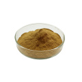 Natural High Quality lucid ganoderma extract