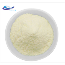 High quality mango extract food supplement