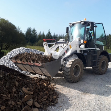 MR930E 2 Ton Cheap Mini Wheel Loader for Sale
