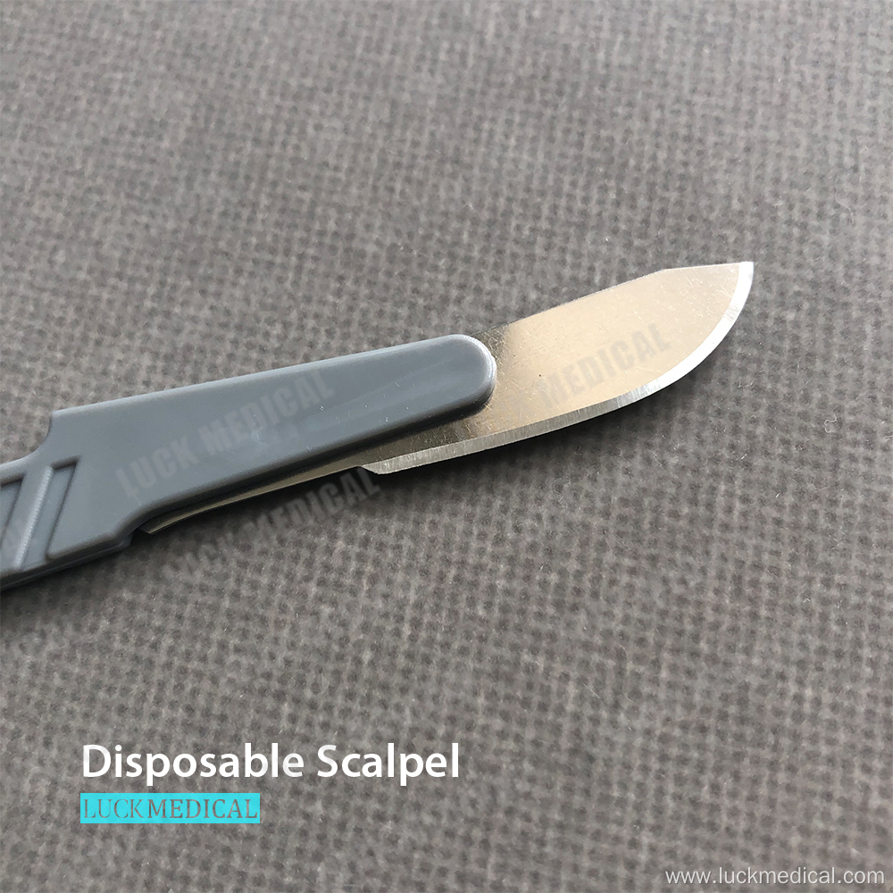 Disposable Surgical Blade And Handle