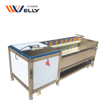 Potato and Ginger Peeler and Washing Machine 500-800kg/h