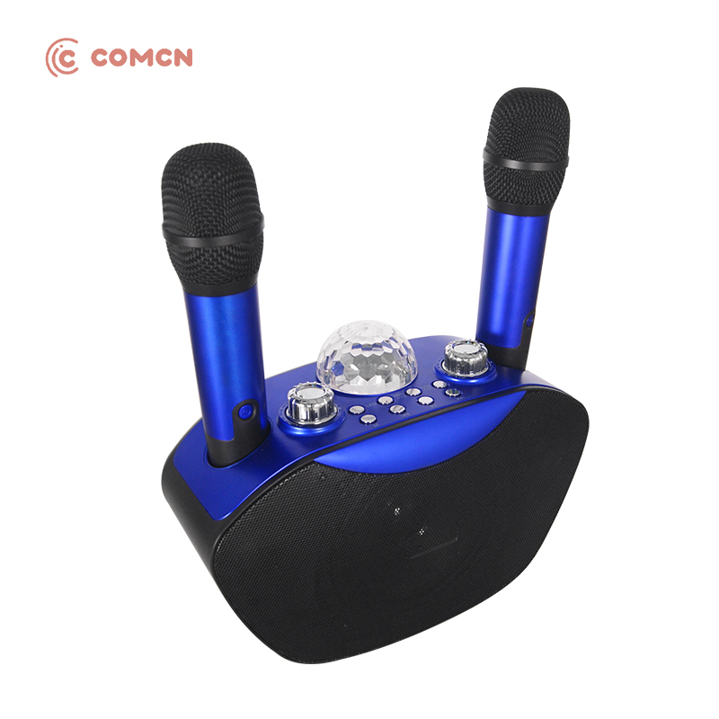 Home Bluetooth Karaoke Speaker With Microphone