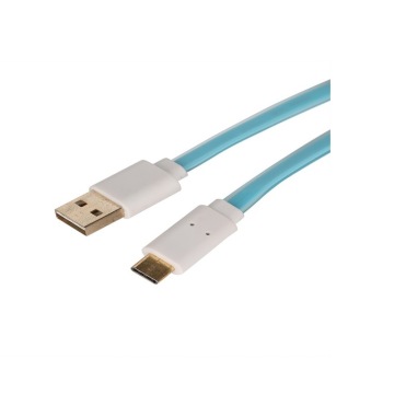 High Speed USB 10 Gbps USB 3.1 Type C to USB 2.0 Data Charge Cable