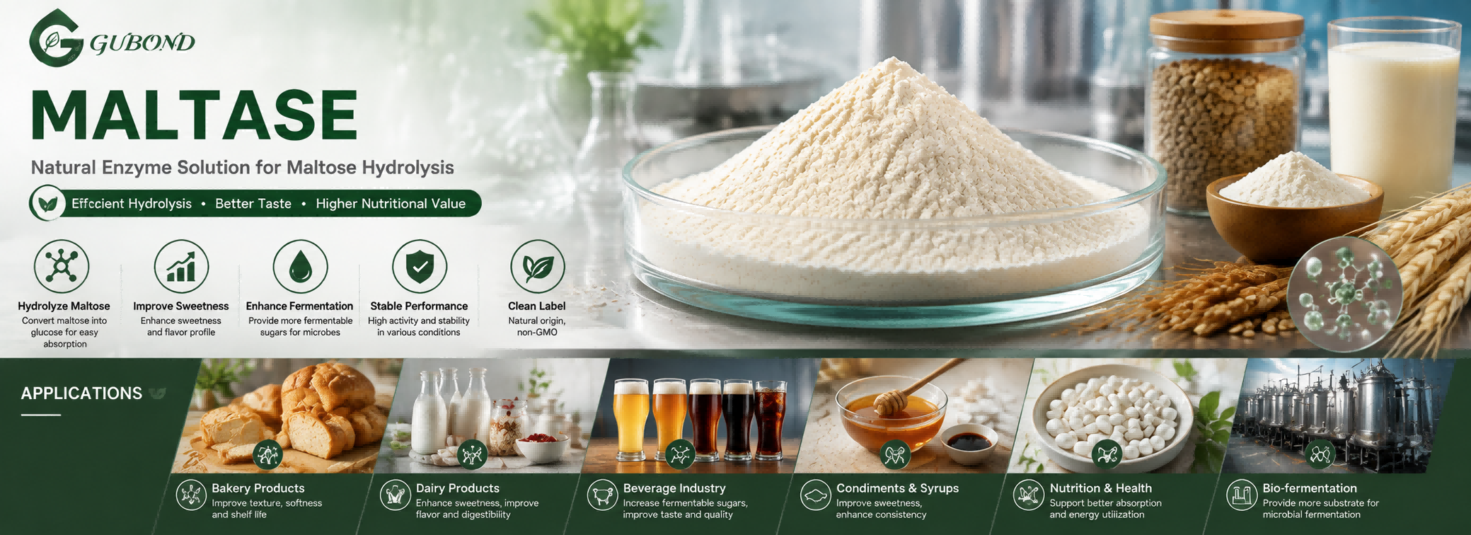 Maltase