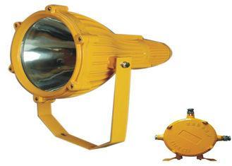 Explosion Proof Floodlight , 250W / 400W MH / HPS IP65 Floo