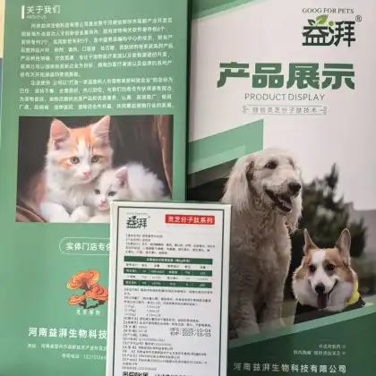 Dog rhinitis and sinusitis natural treatment