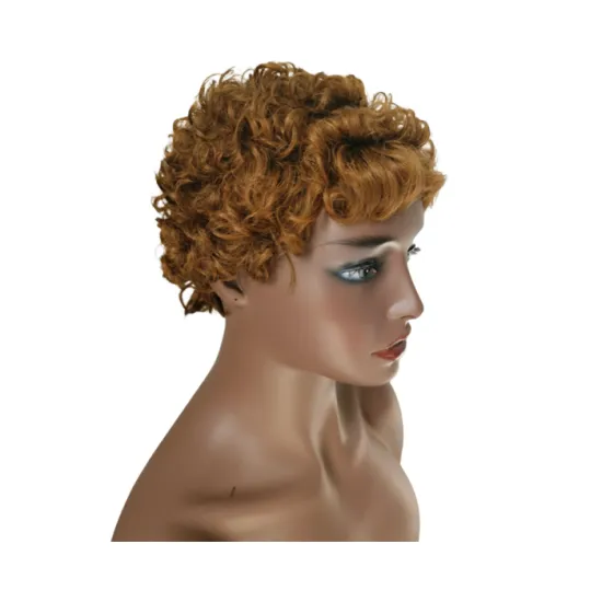 Factory Price brazilian human hair wig swiss lace front wig for making wigs