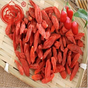 B Grade Goji Berry Conventional Goji Berry Fruit