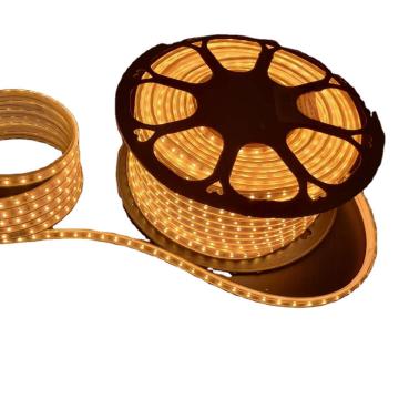 Energy Saving LED Strip Lights 50m for Home, Garden, and Building Decoration