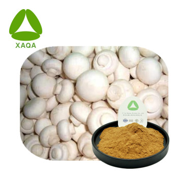 Agaricus bisporus استخراج البودرة البودرة 10 ٪