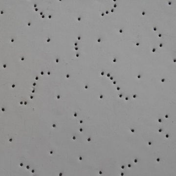 Gypsum board