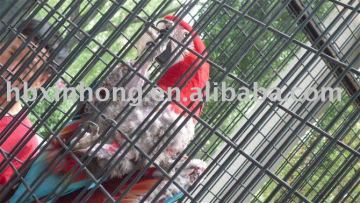 Welded Wire Mesh price