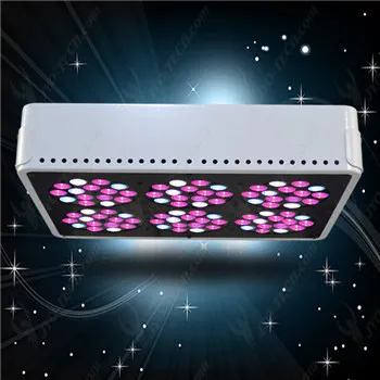Apollo led grow light