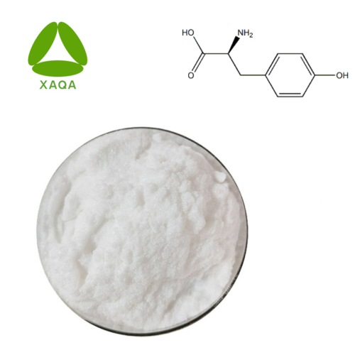 L -тирозин 99% порошковый CAS 60-18-4 Пищевые добавки