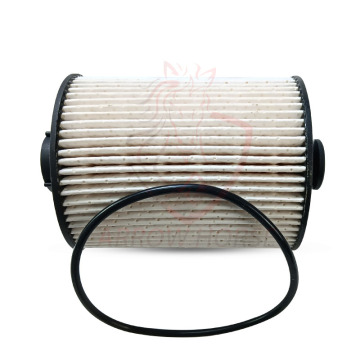 High Quality Auto Engine Diesel Filter OE FS19925 for Foton Tunland Car Parts