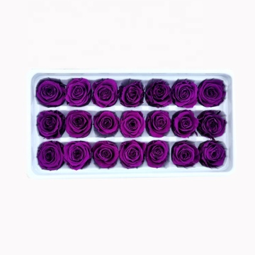 Wholesale Rose Eternelle - Top Seller for Wedding and Home Decoration