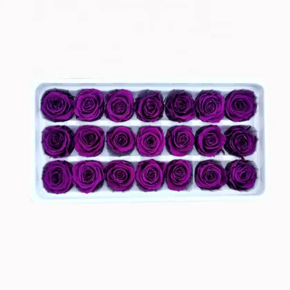 Wholesale Rose Eternelle - Top Seller for Wedding and Home Decoration