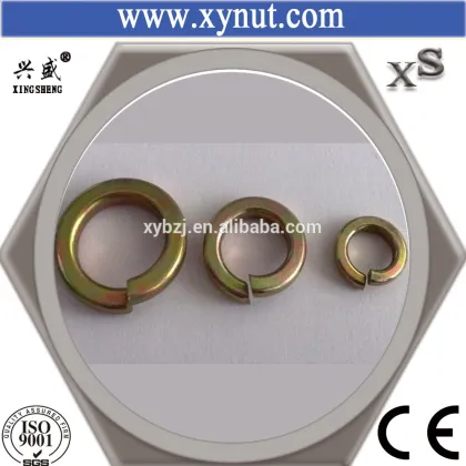 China factory hardware spring washer