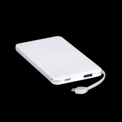 AWC933 OEM Li-ion Battery Charger 3.7v Build-in Micro Charger Cable 5000mAh Samsung Mobile Charger