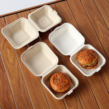 Eco-Friendly Degradable Bagasse Lunch Box - Design Sense Multi-Gauge Lock Box