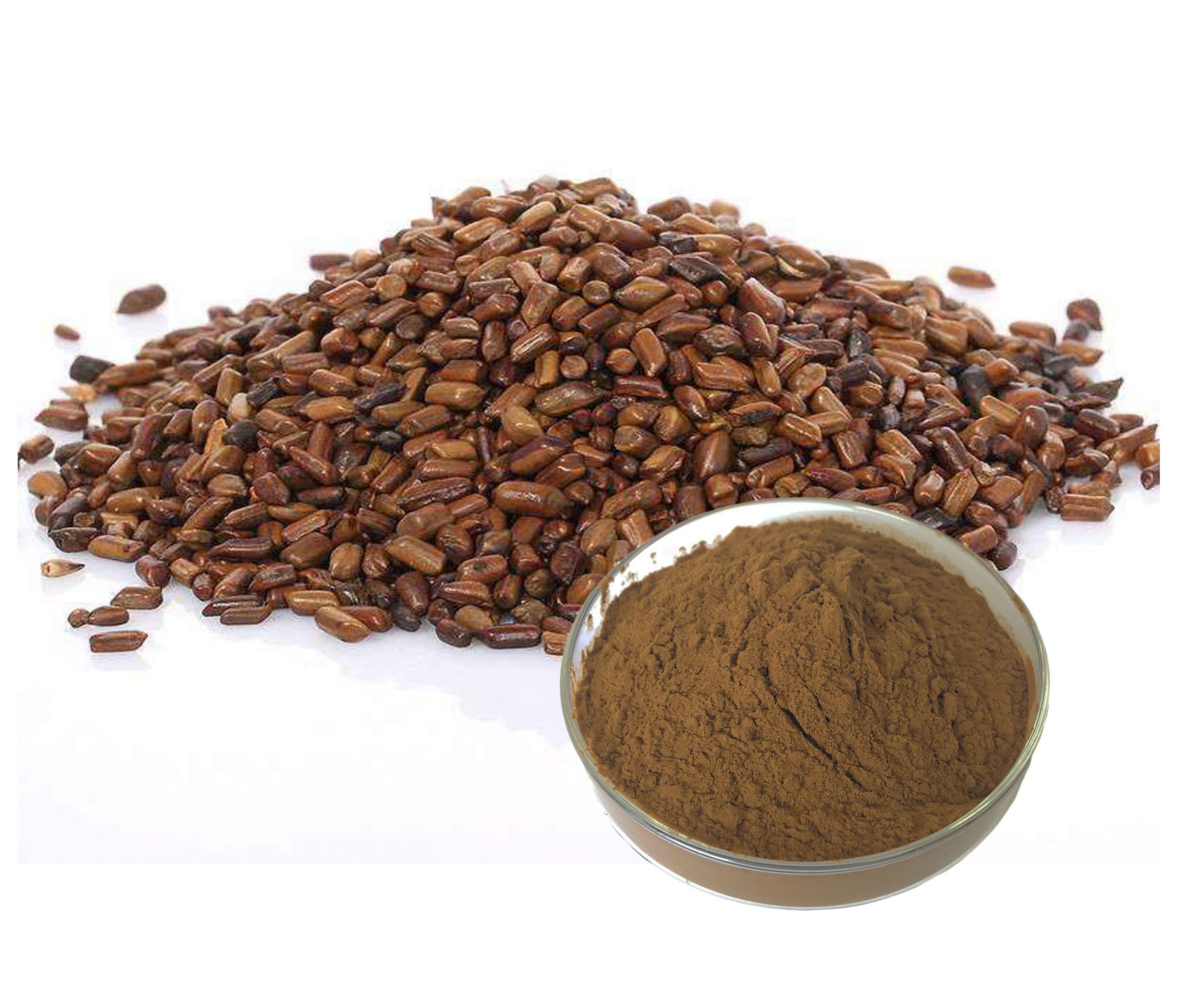 Natural Cassia seed extract powder