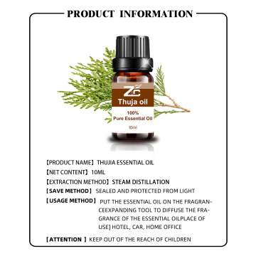 Organics Thuja Essential Oil for Aromatherapy Diffuser
