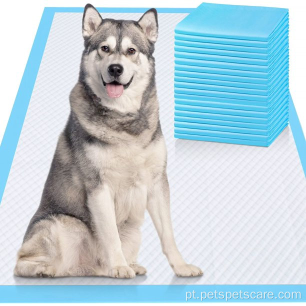 6 camadas Ultra absorvente Ponts de xixi cães 30 contagens